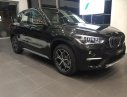 BMW X1 sDrive18i 2017 - Bán ô tô BMW X1 sDrive18i 2017, màu nâu, nhập khẩu chính hãng