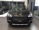 BMW X1 sDrive18i 2017 - Bán ô tô BMW X1 sDrive18i 2017, màu nâu, nhập khẩu chính hãng