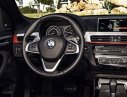 BMW X1 2017 - Bán ô tô BMW X1 đời 2017, nhập khẩu chính hãng