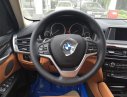 BMW X6 35i 2017 - BMW X6 35i xDrive - Màu bạc duy nhất tại Việt Nam thời điểm này