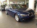 BMW 3 Series 320i 2017 - BMW 3 Series 320i đời 2017, màu xanh, nhập khẩu nguyên chiếc, hỗ trợ trả góp