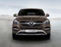 Mercedes-Benz GLE-Class  450 2016 - Bán Mercedes Coupe 450 2016, màu nâu, nhập khẩu chính hãng