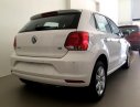 Volkswagen Polo 2016 - Nhận ngay ưu đãi lớn khi mua Polo, nhập chính hãng, giá tốt, liên hệ Xuân Liên 0963 241 349