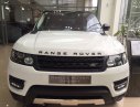 LandRover Range rover Vogue V6 SuperCharged 3.0L 2017 - Bán xe Landrover Range Rover Sport SE - 2017 giá xe 2018 -xe nhập - màu trắng, đen, xanh-màu đồng