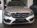 Mercedes-Benz C300 AMG 2017 - Bán Mercedes C300 AMG đời 2017, màu bạc