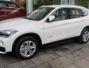 BMW X1 sDrive18i 2016 - Bán xe BMW X1 sDrive18i, màu trắng, nhập khẩu, giá ưu đãi, có xe giao sớm nhất