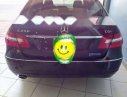 Mercedes-Benz E250 2010 - Bán ô tô Mercedes đời 2010, màu nâu, 899tr