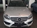 Mercedes-Benz C300 AMG 2017 - Bán Mercedes C300 AMG đời 2017, màu bạc