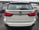 BMW X5 xDrive35i 2017 - Bán ô tô BMW X5 xDrive35i đời 2017, màu trắng, nhập khẩu nguyên chiếc, giảm giá tiền mặt, quà tặng hấp dẫn