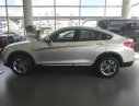 BMW X4 xDrive20i 2017 - Bán xe BMW X4 xDrive20i 2017, màu bạc, nhập khẩu chính hãng, có xe giao sớm, nhiều màu