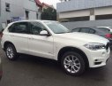 BMW X5 xDrive35i 2017 - Bán ô tô BMW X5 xDrive35i đời 2017, màu trắng, nhập khẩu nguyên chiếc, giảm giá tiền mặt, quà tặng hấp dẫn