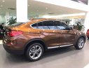 BMW X4 xDrive20i 2017 - Bán xe BMW X4 xDrive20i đời 2017, màu nâu, xe nhập, ưu đãi hấp dẫn, giao xe tại nhà