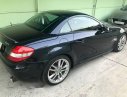 Mercedes-Benz SLK class 2007 - Bán Mercedes SLK đời 2007, màu đen, nhập khẩu, giá chỉ 715 triệu