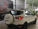 Ford EcoSport Titanium 1.5P AT 2017 - Ford Ecosport Titanium, Black Editon, quà tặng lên đến 50Tr, hotline 0934799119