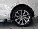 Ford Explorer 2.3 Limited 4x4 2017 - Bán Ford Explorer 2.3 Limited 4x4 năm 2017, nhập khẩu nguyên chiếc
