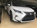 Lexus RX350 Luxury 2017 - Bán Lexus RX350 Luxury Mỹ sản xuất 2017, màu trắng nội thất nâu