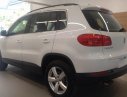 Volkswagen Tiguan 2016 - Bán xe Volkswagen Tiguan 2016 nhận ngay Iphone 7. Lh: 0931416628 gía tốt nhất