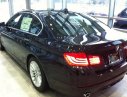 BMW 5 Series 535i 2016 - Bán BMW 535i 2016 duy nhất Việt Nam, nhập chính hãng và phân phối độc quyền tại Miền Trung