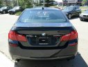 BMW 5 Series 535i 2016 - Bán BMW 535i 2016 duy nhất Việt Nam, nhập chính hãng và phân phối độc quyền tại Miền Trung