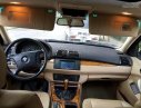 BMW X5 2003 - Bán ô tô BMW X5 đăng ký lần đầu 2003, còn mới, giá chỉ 245 triệu