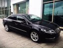 Volkswagen Passat CC TSI 2013 - Bán Volkswagen Passat CC TSI đời 2013, màu đen, nhập khẩu