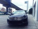 Volkswagen Passat CC TSI 2013 - Bán Volkswagen Passat CC TSI đời 2013, màu đen, nhập khẩu