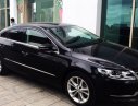 Volkswagen Passat CC   1.8 AT  2013 - Cần bán Volkswagen Passat CC 1.8 AT 2013, màu đen, nhập khẩu chính hãng