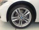 BMW 3 Series 330i 2017 - Bán BMW 3 Series 330i đời 2017, màu trắng, xe nhập, ưu đãi lên tới 50% trước bạ, có xe giao ngay