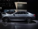 BMW 5 Series 520d 2017 - Bán xe BMW 5 Series 520d sản xuất 2017 thế hệ mới nhất, nhiều màu, xe nhập. LH đặt xe 0901 124 188