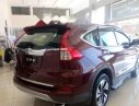 Honda CR V   2017 - Bán xe Honda CR V 2017, màu đỏ, xe mới 100%