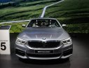 BMW 5 Series 520d 2017 - Bán xe BMW 5 Series 520d sản xuất 2017 thế hệ mới nhất, nhiều màu, xe nhập. LH đặt xe 0901 124 188