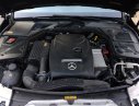 Mercedes-Benz C250 2015 - Bán ô tô Mercedes C250 đời 2015, màu đen, 16.000 km, bảo hành chính hãng 12 tháng. Xem xe thích ngay
