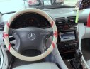 Mercedes-Benz C200 2001 - Bán Mercedes-Benz C200 sản xuất 2001 màu bạc, giá 190 triệu