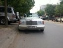 Mercedes-Benz E class 1995 - Bán Mercedes E230 đời 1995, màu bạc, nhập khẩu chính hãng số sàn