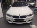 BMW M3 2017 - Cần bán xe BMW M3 đời 2017, màu trắng, nhập khẩu chính hãng, giá ưu đãi rẻ nhất