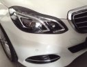 Mercedes-Benz E200 2013 - Bán xe Mercedes đời 2013, màu trắng, nhập khẩu chính hãng