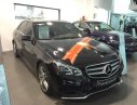 Mercedes-Benz E250  AMG 2015 - Bán xe cũ Mercedes E250 AMG đời 2015, màu đen