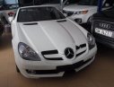 Mercedes-Benz SLK class 200 2010 - Bán ô tô Mercedes SLK 200 đời 2010, màu trắng, nhập khẩu