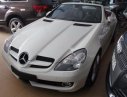 Mercedes-Benz SLK class 200 2010 - Bán ô tô Mercedes SLK 200 đời 2010, màu trắng, nhập khẩu