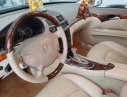 Mercedes-Benz E240 2004 - Bán Mercedes E240 năm 2004, màu đen, giá chỉ 365 triệu