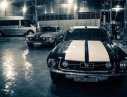 Ford Mustang   1967 - Bán xe Ford Mustang đời 1967, nhập khẩu số tự động