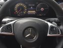 Mercedes-Benz E Class 300 2017 - Bán Mercedes năm 2017, nhập khẩu như mới
