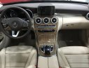 Mercedes-Benz C250 E 2017 - Bán xe Mercedes E 2017, màu đỏ, nhập khẩu chính hãng