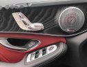 Mercedes-Benz C300   2015 - Bán xe Mercedes-Benz C300 AMG sản xuất 2015