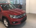 Volkswagen Tiguan GP 2016 - Xe nhập gầm cao Volkswagen Tiguan 2.0l GP đời 2016, màu đỏ mận, tặng 209 triệu tiền mặt, LH Hương: 0902.608.293