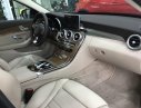 Mercedes-Benz C250 E 2017 - Bán xe Mercedes E 2017, màu đỏ, nhập khẩu chính hãng
