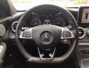 Mercedes-Benz C300   2015 - Bán xe Mercedes-Benz C300 AMG sản xuất 2015