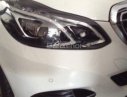 Mercedes-Benz E200 2013 - Bán xe Mercedes đời 2013, màu trắng, nhập khẩu chính hãng