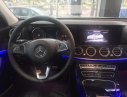 Mercedes-Benz E250   2017 - Bán xe Mercedes E250 đời 2017 giá tốt