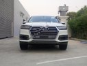 Audi Q7 2017 - Cần bán Audi Q7 đời 2017, màu trắng, nhập khẩu chính hãng
